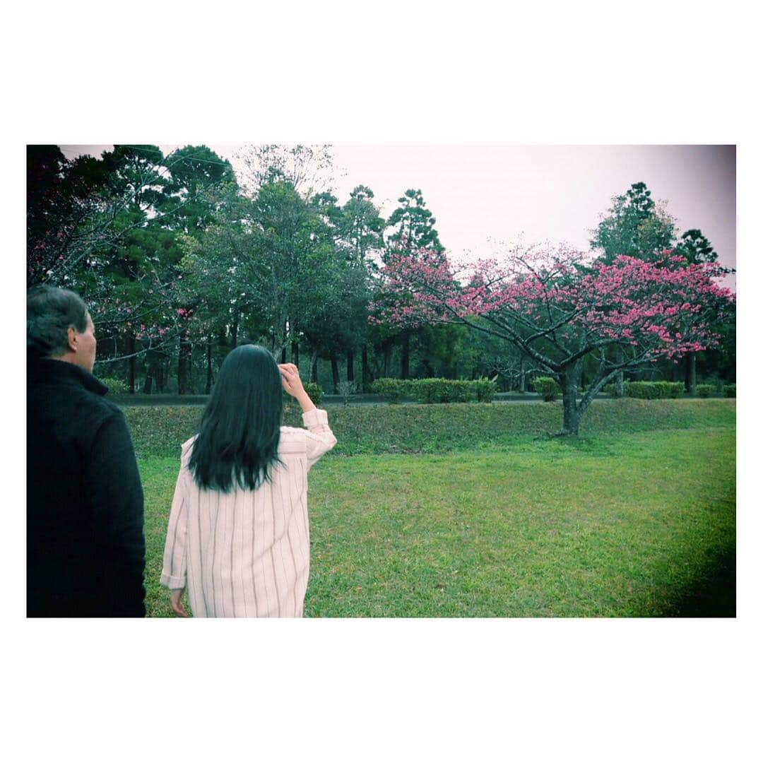 城南海さんのインスタグラム写真 - (城南海Instagram)「みなみさんぽ🌸🌸🌸 ・ #緋寒桜  #奄美大島 #大和村 #フォレストポリス #桜流し #大和まほろば館 #すももアイス🍦 #まーさんどー 💕 #junokamoto #ブロンズのヴィーナス像みたいなワンピース #みなみさんぽ」2月9日 22時16分 - kizukiminami