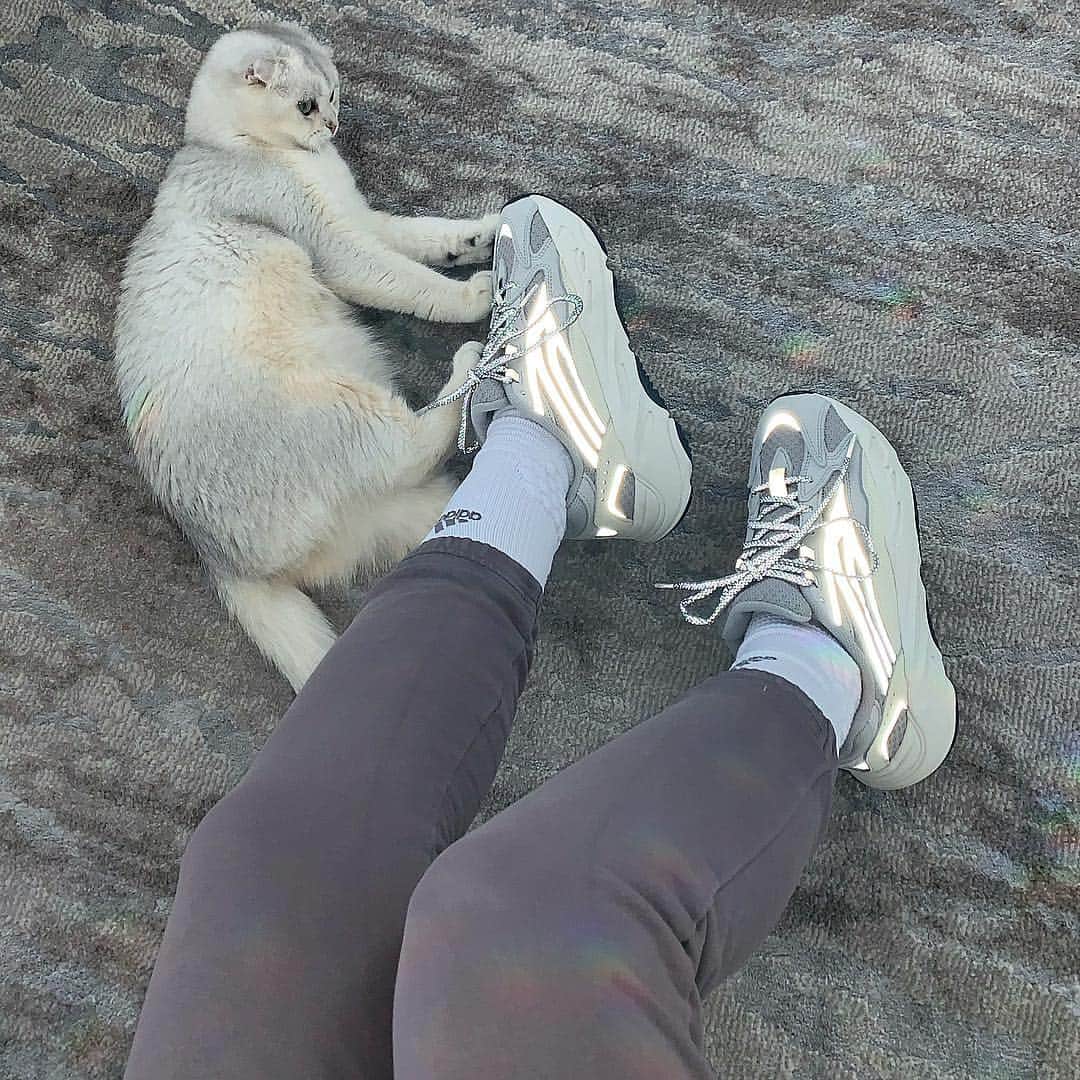 Carli Bybelのインスタグラム：「😼👟」