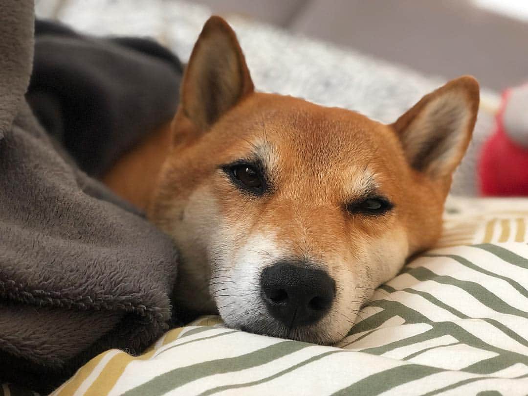 じぇっとさんのインスタグラム：「good night 💤😴 friends 💗💕」