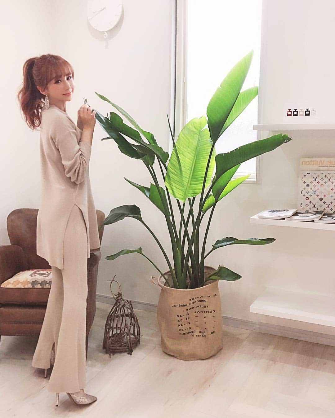 のインスタグラム：「今日は オフィスday！ ・ どんどん成長するオーガスタ🌿🌱🍃 ・ officeは グリーンを あちらこちらに…💚 ・ マイナスイオン✨ ・ と、しふく♡， ・ 最近 こんな感じのセットアップばかり着てるかも😊 ・ #today #love  #fashion #ootd  #foliage #mocoas  #green #office #azulbymoussy  #モコアズ #オフィスカジュアル  #セットアップ  #オーガスタ #観葉植物」