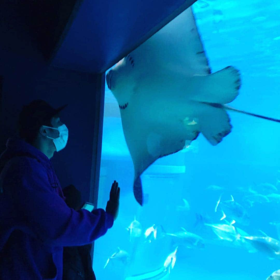 瀬戸大也さんのインスタグラム写真 - (瀬戸大也Instagram)「泳ぎの研究🤔🐬🏊‍♂️ #dayoff #swimming #study  #aquarium #osaka #relax」2月10日 21時01分 - daiya_seto