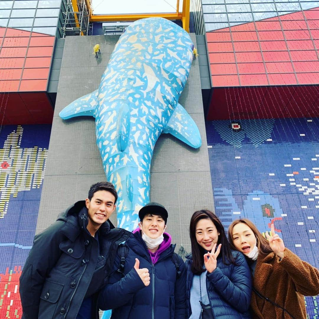 瀬戸大也さんのインスタグラム写真 - (瀬戸大也Instagram)「泳ぎの研究🤔🐬🏊‍♂️ #dayoff #swimming #study  #aquarium #osaka #relax」2月10日 21時01分 - daiya_seto