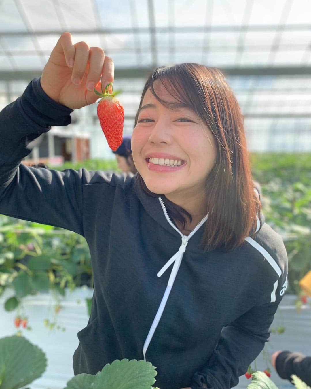 坂口佳穂さんのインスタグラム写真 - (坂口佳穂Instagram)「🍓🍓🍓🍓🍓 😬😬😬😬😬 #いちご狩り #いちご#幾つ食べたかについて #15が1番多かったの #いちご狩りでいちごを15個は可愛い #3桁の答えが多かった #ワラ」2月10日 21時19分 - s_ka_ho