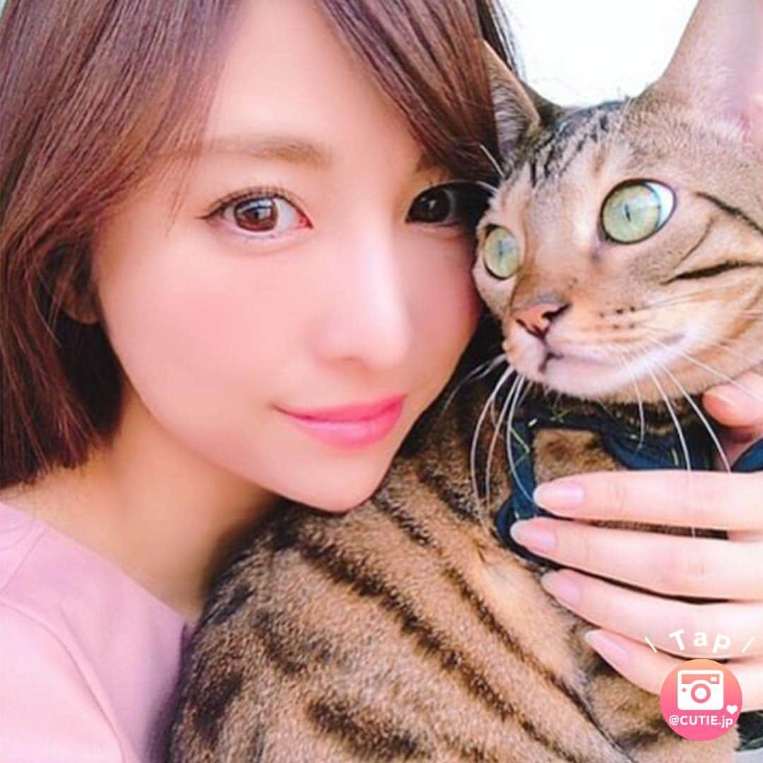 ❤️cutie.jp❤️【キューピー】さんのインスタグラム写真 - (❤️cutie.jp❤️【キューピー】Instagram)「* 今回ご紹介させて頂きますのは 3回目のご紹介になります * 香澄さん＜@kasumisjr＞のナイス２ショットな欲張りセットです📷✨ * 清楚美人な香澄さんと愛猫のベジちゃん😸 * ペットが飼い主に似るとはいいますが * めちゃくちゃ可愛くてイケメンなベジちゃん✨ * もはや「ちゃん」づけは失礼なぐらいキレイな顔をしているベジ「さん」😺 * 香澄さんに大切にしてもらっていて 日々幸せに暮らしているのが表情に表れてるのかもしれませんね🥰 * お二人でCIAOちゅ～るのCM出て欲しいレベル😆 * 香澄さん、ベジさん 美人＆イケメンなお写真、 誠にありがとうございました✨✨ ＿＿＿＿＿＿＿＿＿＿＿＿＿＿＿＿ ◆◇◆◇◆◇◆◇◆◇◆◇◆◇◆◇ ￣￣￣￣￣￣￣￣￣￣￣￣￣￣￣￣ 紹介をご希望の方は 投稿の写真へのタグ(@cutie.jp) と #キューティー のタグ付けをお願い致します💗💗 ＿＿＿＿＿＿＿＿＿＿＿＿＿＿＿＿ ◆◇◆◇◆◇◆◇◆◇◆◇◆◇◆◇ ￣￣￣￣￣￣￣￣￣￣￣￣￣￣￣￣ @kasumisjr #美人 #かわいい #綺麗 #名古屋 #nagoya #モデル #カラコン #メイク #メイクアップ #ネコ好き #愛猫 #イケメン #ネコ #正統派 #幸せ #清楚 #ciaoちゅ～る #おやつ #instagood #fashion #make #makeup #キューティー #cute #cutie #kawaii #fashion #beauty #model」2月10日 15時18分 - cutie.jp