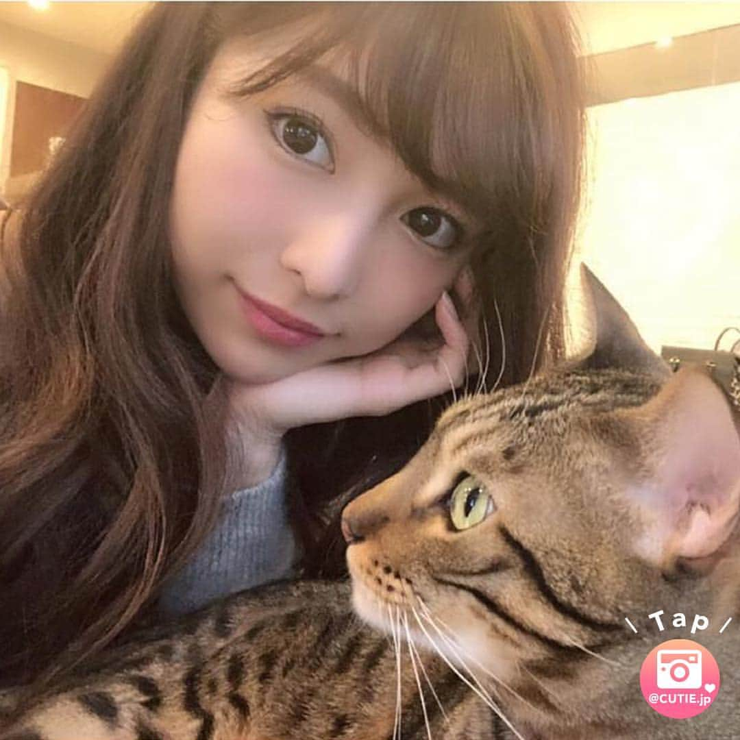 ❤️cutie.jp❤️【キューピー】さんのインスタグラム写真 - (❤️cutie.jp❤️【キューピー】Instagram)「* 今回ご紹介させて頂きますのは 3回目のご紹介になります * 香澄さん＜@kasumisjr＞のナイス２ショットな欲張りセットです📷✨ * 清楚美人な香澄さんと愛猫のベジちゃん😸 * ペットが飼い主に似るとはいいますが * めちゃくちゃ可愛くてイケメンなベジちゃん✨ * もはや「ちゃん」づけは失礼なぐらいキレイな顔をしているベジ「さん」😺 * 香澄さんに大切にしてもらっていて 日々幸せに暮らしているのが表情に表れてるのかもしれませんね🥰 * お二人でCIAOちゅ～るのCM出て欲しいレベル😆 * 香澄さん、ベジさん 美人＆イケメンなお写真、 誠にありがとうございました✨✨ ＿＿＿＿＿＿＿＿＿＿＿＿＿＿＿＿ ◆◇◆◇◆◇◆◇◆◇◆◇◆◇◆◇ ￣￣￣￣￣￣￣￣￣￣￣￣￣￣￣￣ 紹介をご希望の方は 投稿の写真へのタグ(@cutie.jp) と #キューティー のタグ付けをお願い致します💗💗 ＿＿＿＿＿＿＿＿＿＿＿＿＿＿＿＿ ◆◇◆◇◆◇◆◇◆◇◆◇◆◇◆◇ ￣￣￣￣￣￣￣￣￣￣￣￣￣￣￣￣ @kasumisjr #美人 #かわいい #綺麗 #名古屋 #nagoya #モデル #カラコン #メイク #メイクアップ #ネコ好き #愛猫 #イケメン #ネコ #正統派 #幸せ #清楚 #ciaoちゅ～る #おやつ #instagood #fashion #make #makeup #キューティー #cute #cutie #kawaii #fashion #beauty #model」2月10日 15時18分 - cutie.jp