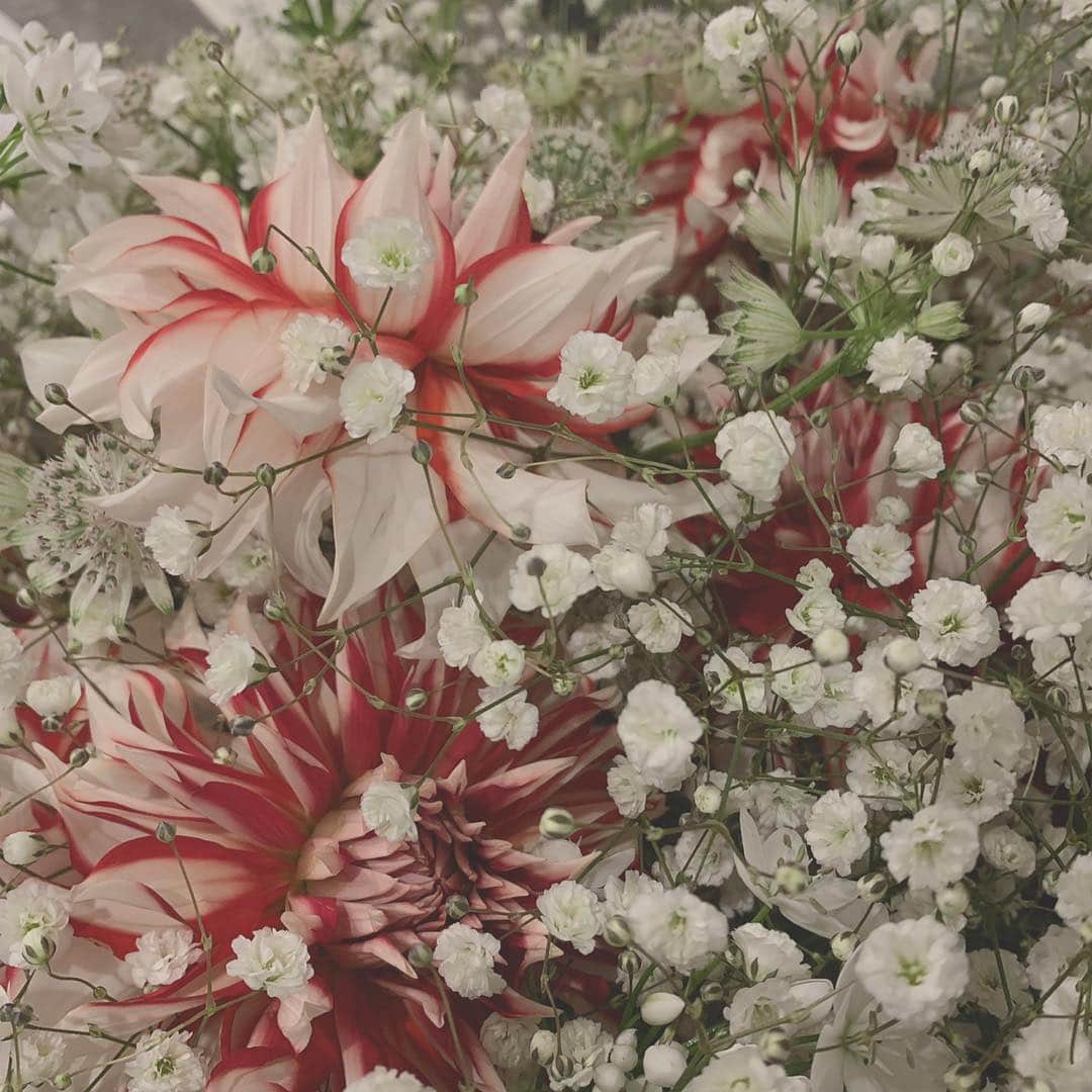 佐々木希さんのインスタグラム写真 - (佐々木希Instagram)「#NAMAHAGEダリア 存在感のある大きなお花💐 美しい…♡ ロビンとお祝いしていただきました♡  #ロビンヌ  大好きなグランマフラワーさんのお花を頂いちゃいました💐  #グランマフラワー  happy姉さん達 ありがとう💕」2月10日 18時23分 - nozomisasaki_official