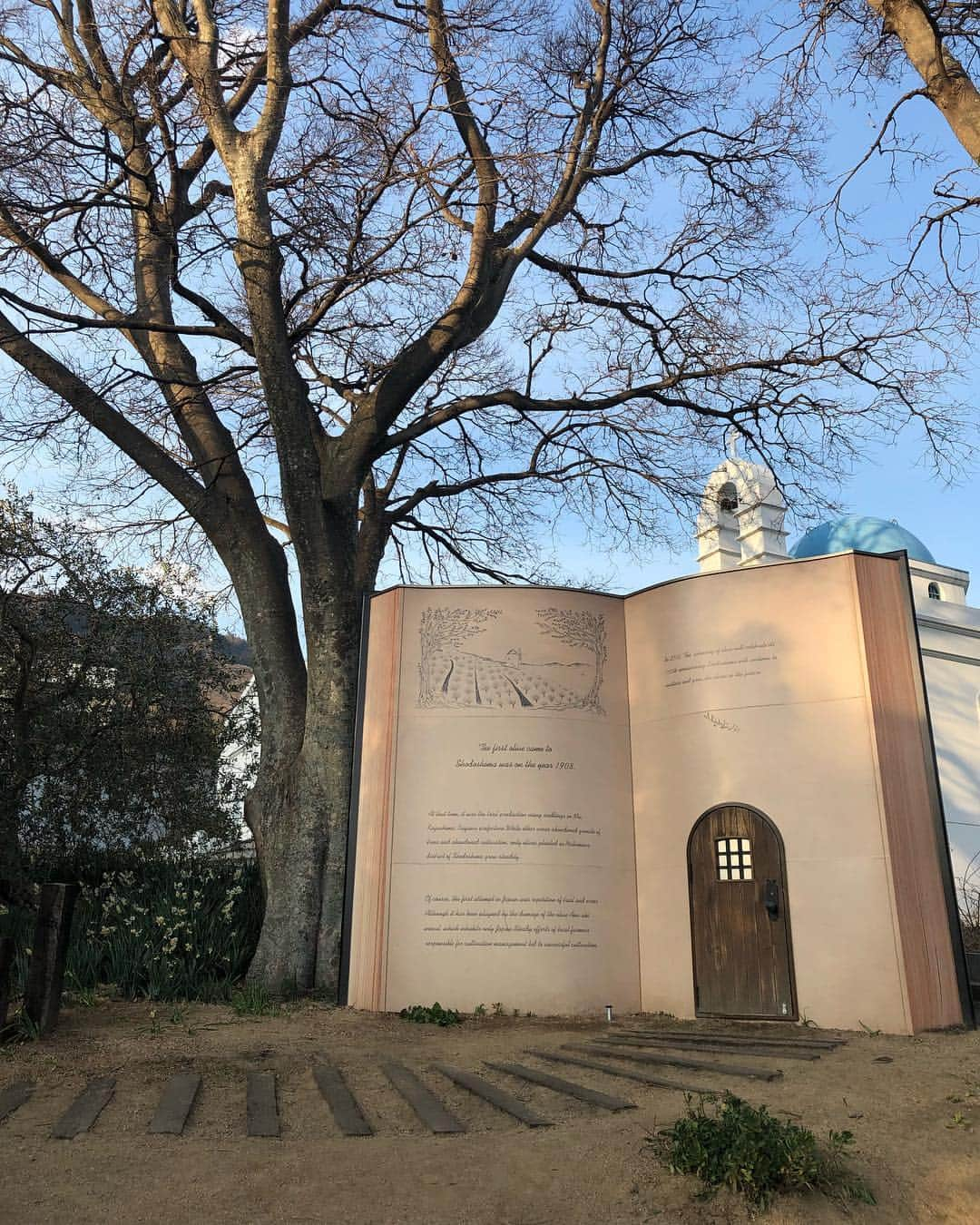 堤友香さんのインスタグラム写真 - (堤友香Instagram)「. 映画「魔女の宅急便」のロケ地 オリーブ公園☺️ 無料の貸し出しほうき🧹をゲットしたら あっちもこっちも みんな持ってた🤣笑 公園は 魔法使いで溢れていました🤣 #小豆島  #弾丸旅行  #旅行  #オリーブ公園  #小豆島オリーブ公園  #旅行好きな人と繋がりたい」2月10日 20時47分 - yuka_tsutsumi0605