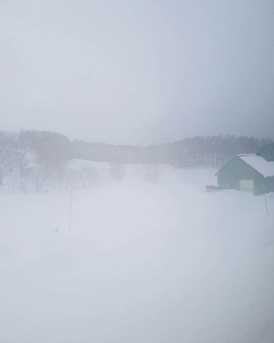 のインスタグラム：「20180107 #Hokkaido」
