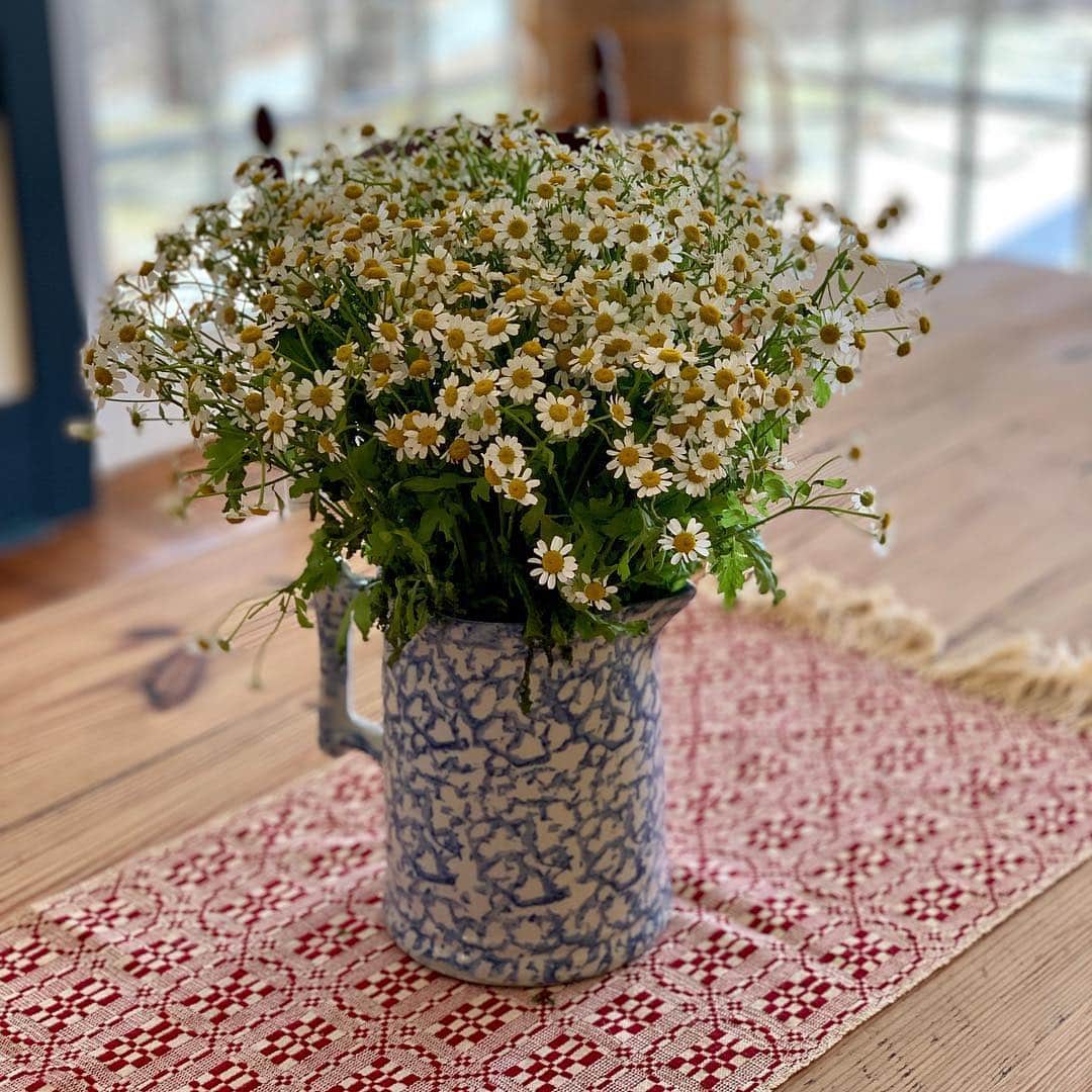 オードリー・ゲルマンのインスタグラム：「🌻」