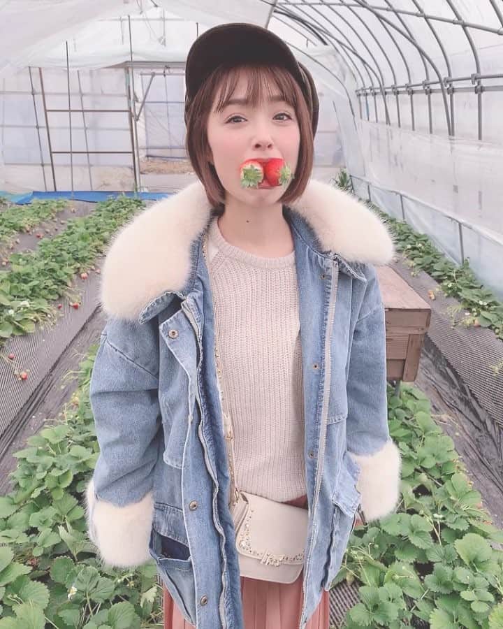 のインスタグラム：「欲張りすぎた。 とちおとめ 美味しい🍓 #いちご狩り  #栃木  コートは  @sucrebonbon_official とっても可愛くてあったかい〜💕 #シュクレボンボン  #mihiro #instagood  #instadiary  #instalike #instamood  #ow #instapic #instaphoto #girl　#follow #followme  #japanesegirl」