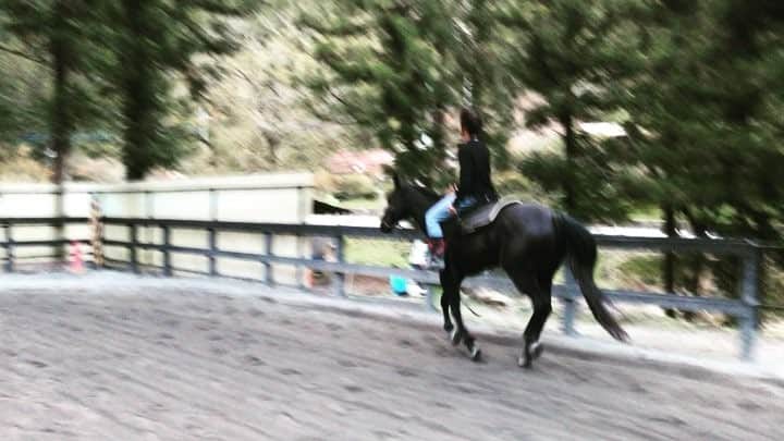 のインスタグラム：「ぱからっぱからっ🐴  #3回目 #なかなか乗れた #気がしてた #rdr2 #影響されて #ずいぶん前の動画 #あげてみました。 #うーーーん、ブレブレ(･_･;」