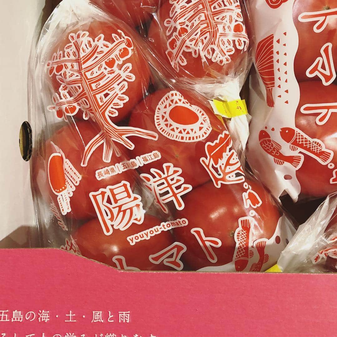 小堀紀代美さんのインスタグラム写真 - (小堀紀代美Instagram)「いただきもののトマト、陽洋トマト🍅 名前もなんだかかわいい。おいしそーなスジが入ってて、思わずまるかじり！ おいしくてなつかしい。トマトってこういう味だったよねーって思う。  長崎に行ってみたいな、と思っていたら、長崎のトマトでした✨」2月11日 18時18分 - likelikekitchen
