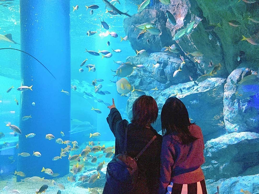 古畑奈和さんのインスタグラム写真 - (古畑奈和Instagram)「水族館&映画デート💭」2月11日 19時02分 - nao_furuhata