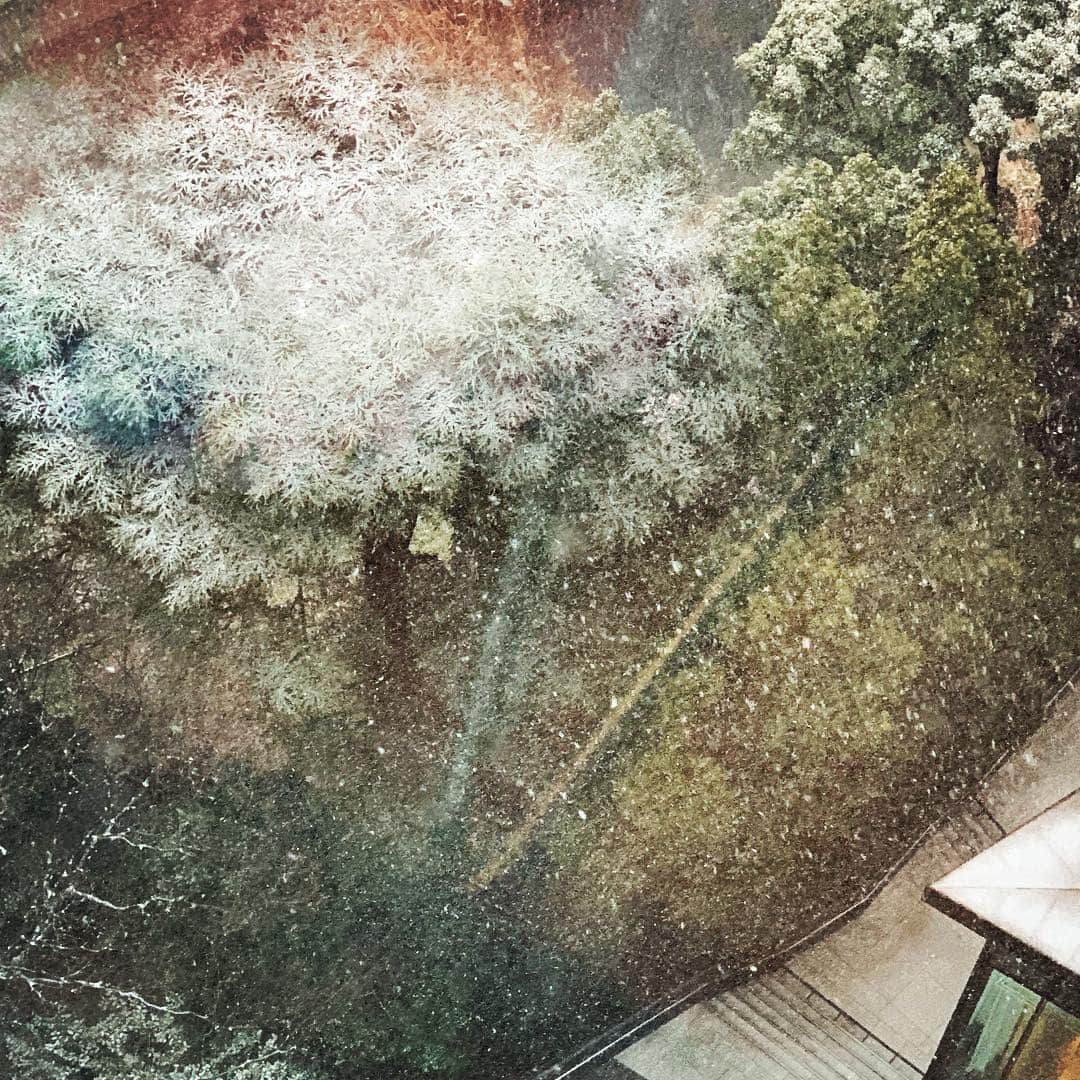青田典子さんのインスタグラム写真 - (青田典子Instagram)「雪が降って、とっても寒かったけど、 いつもと違う幻想的な風景に見惚れてしまいました❄️❄️❄️❄️ヽ(´▽｀)/」2月12日 8時20分 - norikoaota