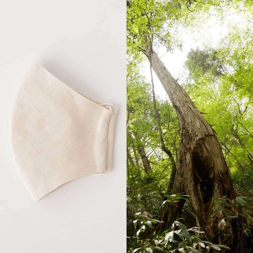 ASAFUKU(麻福)のインスタグラム