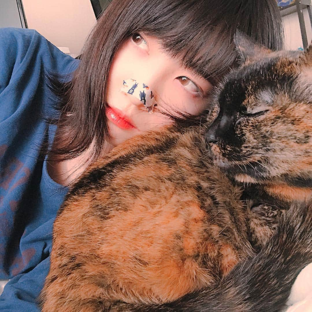 ねこてんのインスタグラム：「今日は、 やる気無さそうなメイク。結構気に入ってる。 体重についての動画を作りました。 18時に投稿予定です。見てね。」