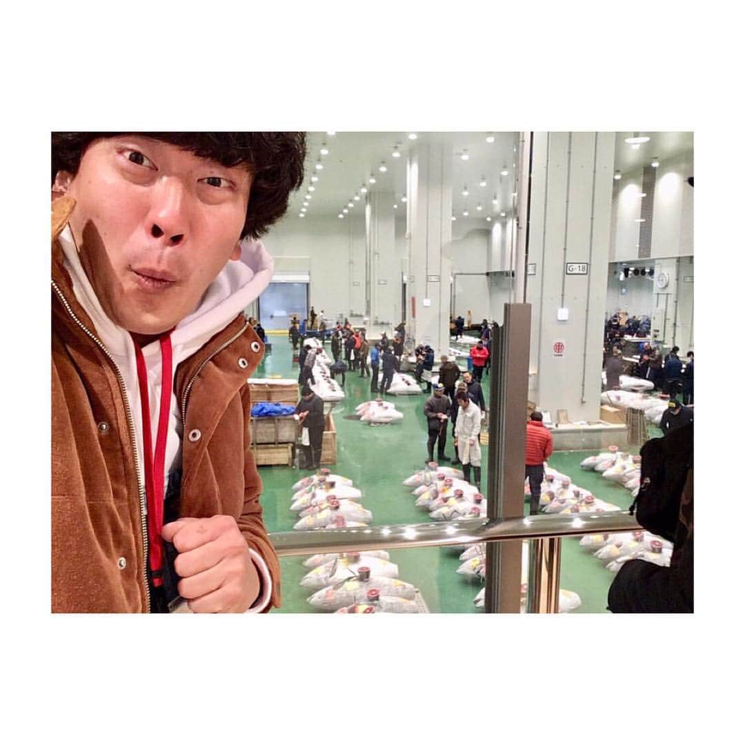 高道さんのインスタグラム写真 - (高道Instagram)「豊洲市場のせり見学。 冷凍マグロと解凍マグロ。 ・ ・ ・ #豊洲市場 #大和寿司 #せり #せり見学 #1月 #スタート #ツアー #卸業者 #仲卸 #マグロ #冷凍マグロ #ウニ #カキ #女将さん #土橋さん #豊洲市場通芸人 #みんなのたかみち #Tokyo #toyosu #fish #fishmarket #toyosumarket #maguro #tuna #uni #oyster #January #tour #start」2月12日 17時05分 - minnanotakamichi