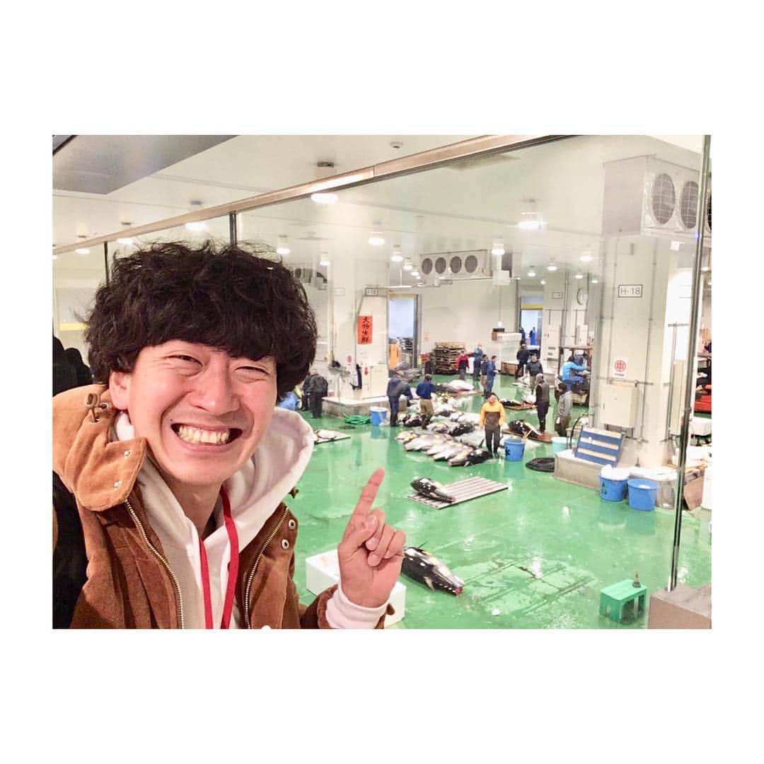 高道さんのインスタグラム写真 - (高道Instagram)「豊洲市場のせり見学。 冷凍マグロと解凍マグロ。 ・ ・ ・ #豊洲市場 #大和寿司 #せり #せり見学 #1月 #スタート #ツアー #卸業者 #仲卸 #マグロ #冷凍マグロ #ウニ #カキ #女将さん #土橋さん #豊洲市場通芸人 #みんなのたかみち #Tokyo #toyosu #fish #fishmarket #toyosumarket #maguro #tuna #uni #oyster #January #tour #start」2月12日 17時05分 - minnanotakamichi