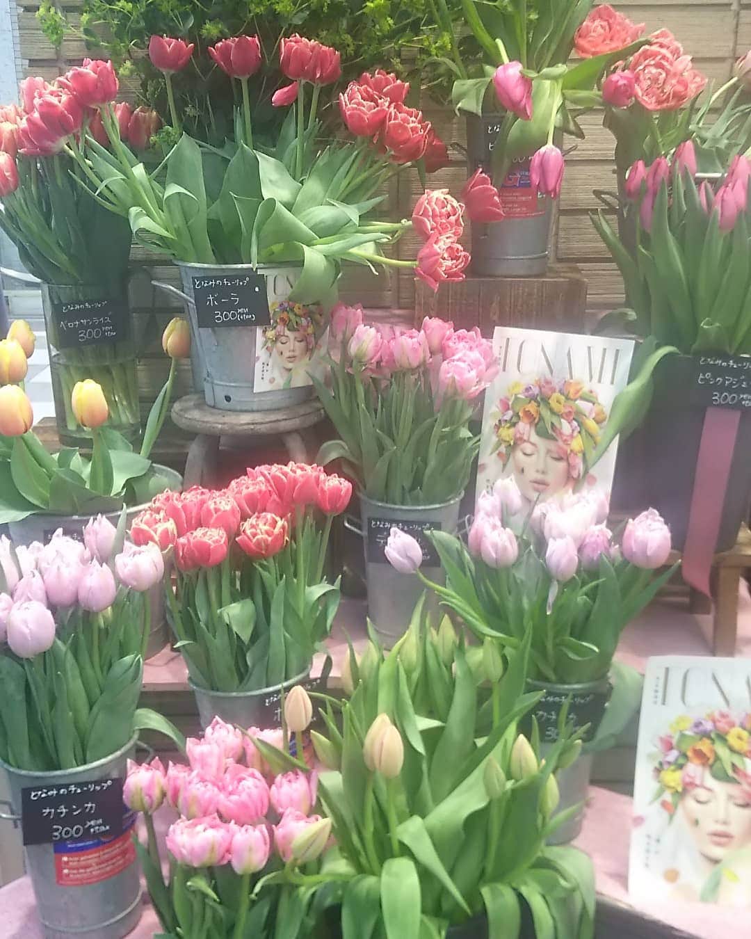 梅田陽子さんのインスタグラム写真 - (梅田陽子Instagram)「春だなぁ。チューリップかわいい❤  #チューリップ #tulip #お花 #お花大好き💕  #flowers #spring #何も加工してないのにふんわり画像」2月12日 18時13分 - yokoumeda