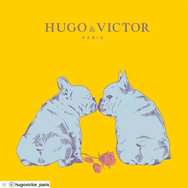 HUGO & VICTORのインスタグラム