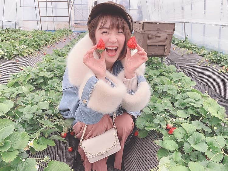 のインスタグラム：「イチゴでお腹いっぱい満たされた🍓満足満腹〜(*´꒳`*) #栃木 #いちご狩り #とちおとめ #mihiro #みひろ  #instagood  #instadiary  #instalike #instamood  #ow #instapic #instaphoto #girl　#follow #followme  #japanesegirl  @sucrebonbon_official」