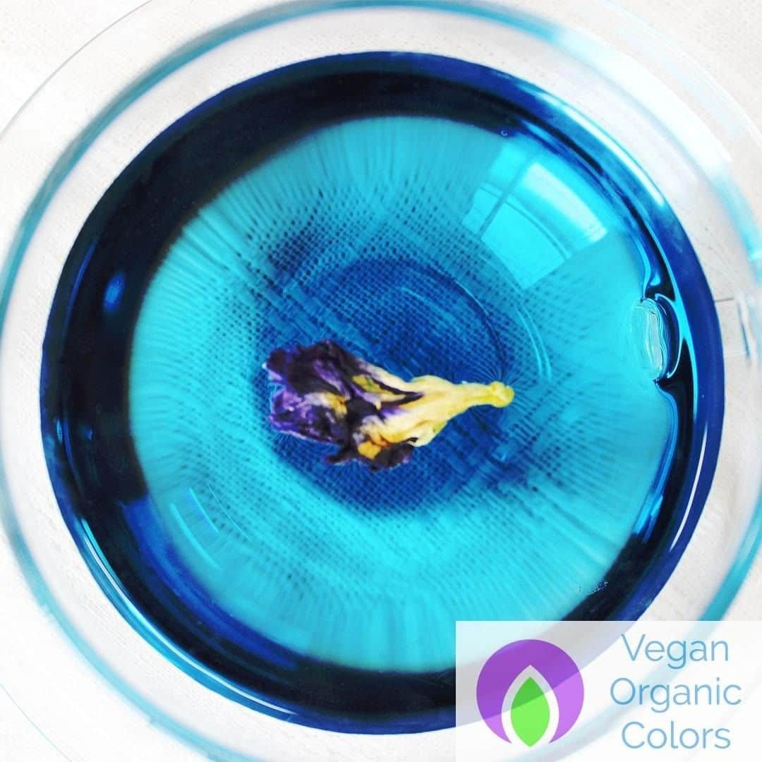 Vegan Organic Colorsさんのインスタグラム写真 - (Vegan Organic ColorsInstagram)「Just one Dried Flower made it so Blue! Do you see the pottential of Butterfly pea flower? The Blue is from Anthocyanin....! Our herbal Ingredients are harvested in our farm in Laos. and we provide you only secured and safe Ingredients from Farm to kitchen! Unlike tons of other OEM companies! #teatime #teatimes #Teatimesnack #teatimetuesday #teatimeforauniverse #teatimeenglish #teatimetale #teatimesnacks #teatimerugs #teatimetreats #teatimer #teatimemonkeys #teatimemanagement #teatimetilly #teatimetable #teatimewithFerrie #teatimemagazine #teatimelyfe #teatimelunch #teatimedesignz #teatimecakes #TeatimeHolidays #teatimevintage #teatimevegan #teatimeallthetime #teatimewithki #Teatimeve #teatimewithaview #teatimewithkim #teatimewithmielle」2月13日 13時23分 - organiccolors