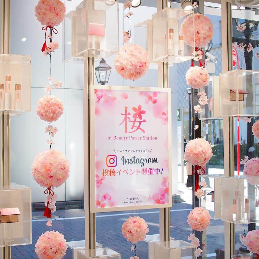 SOFINA Beauty Power Stationさんのインスタグラム写真 - (SOFINA Beauty Power StationInstagram)「【✿銀座で満開の桜をお楽しみください✿】﻿ ﻿ #ソフィーナ銀座 ’Try&Enjoy’Shopでは、大人気！『プリマヴィスタ』のピンク色のパクトを満開の桜に見立てたフォトスポットをご用意しました。﻿ .﻿ 期間中、インスタグラムに投稿いただいたお客様全員に素敵な特典を﻿ ご用意していますので、ぜひご参加ください。﻿ .﻿ 期間：4月10日（水）まで﻿ 参加方法）﻿ 店内フォトスポットにて撮影された写真に、﻿ 「#ソフィーナ銀座 」「#プリマヴィスタ 」「#桜inソフィーナ銀座 」のハッシュタグを付けて、ご自身のアカウントに投稿いただいた画面を店内スタッフまでご提示ください。もれなくコスメサンプルも当たる、おみくじが1回お引きいただけます。﻿ .﻿ 銀座へお越しの際は、ぜひお気軽にお立ち寄りください！﻿ .﻿ .﻿ #ソフィーナ銀座 #プリマヴィスタ #桜inソフィーナ銀座 #primavista #化粧下地 #ファンデーション #ベースメイク #皮脂くずれ防止下地#ソフィーナ#SOFINA  #花王ソフィーナ #銀座  #銀ブラ #さくら祭り#お花見散歩#お花見さんぽ#桜のある風景#桜の季節#ブロッサムピンク#スプリングパーティー#春イベント#春イベ#桜インテリア#春インテリア#お写ん歩#桜好き#フォトスポット#フォトスポット巡り#ペーパーフラワー#お花見日和」3月14日 18時37分 - bbk_ginza_jp