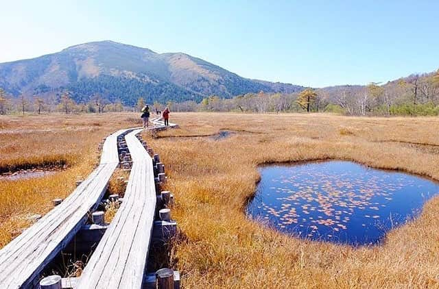 尾瀬旅のインスタグラム