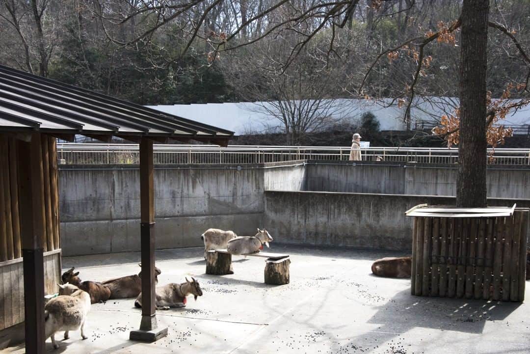 東京都庁広報課のグルメインスタ