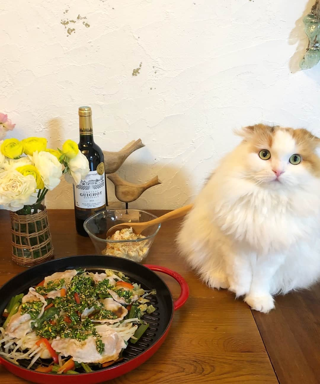 yayoi89さんのインスタグラム写真 - (yayoi89Instagram)「Today's dinner arrived! 🍽 And Tarachan got a new box!▶️🦁📦 . 🍽豚と野菜のニラ香味だれ 🍽鮭フレーク入りポテトサラダ .  #kitoisixプレミアムモニター をさせていただいていますが、今回届いたこれ、今までで1番美味しいかも🤤❤️ レシピも付いてるので自分でもまた作ろうと思います😊☝️ . @oisix が届いたということは… ▶️ 新しい箱📦が来ました！ 早速のお引越し🦁😂 . #oisix #kitoisix #ミールキット #scottishfold #staub #ストウブ #catinbox #fluffy #dailyfluff #catlife #ラナンキュラス」3月14日 17時43分 - yayoi89