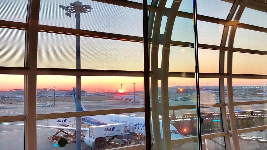 のインスタグラム：「そして我らの旅が始まった。  #出発は早朝の羽田空港 #長崎は諦め #まさかの #hongkong #disneyland #with #ルイス #わたくし #来週もフェスで香港きます #2週連続香港」