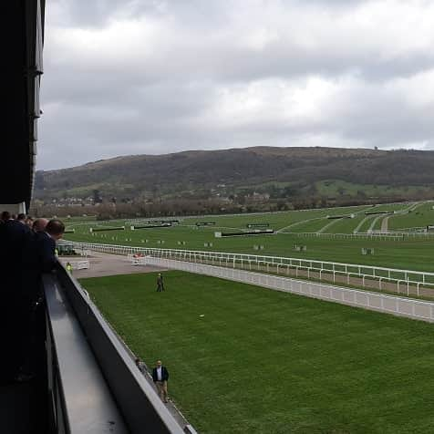 ジェームズ・フェルプスさんのインスタグラム写真 - (ジェームズ・フェルプスInstagram)「I had a great time yesterday at the Cheltenham festival with @hospitalityfinder Green Room. Luck was on my side for some of the races, but thanks to @westwood_lee for the tips. #cheltenham #ladiesday #horsepower 🐎」3月14日 17時47分 - jamesphelps_pictures