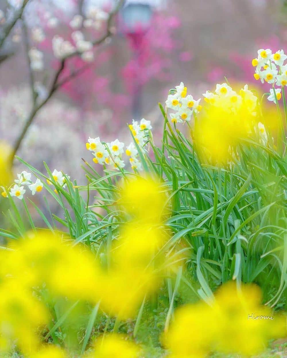 エイチ・アイ・エスのグルメインスタ
