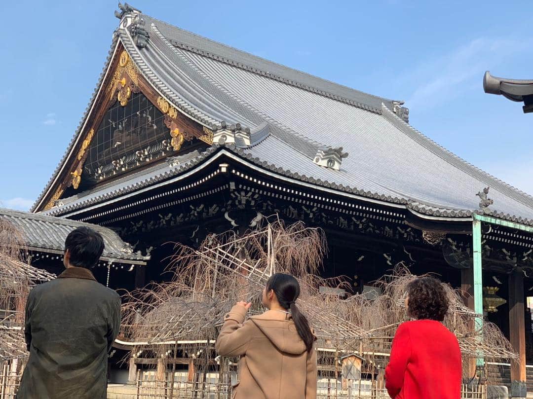 瀧本美織のインスタグラム：「家族みたいで好きな写真です😚今夜は20時〜 #刑事ゼロ #最終回 です。時矢刑事の #記憶 は取り戻せるのか？ #事件 の結末は？最後まで見届けていただければ嬉しいです！  #沢村一樹 さん  #財前直見 さん  #武田鉄矢 さん  #瀧本美織」