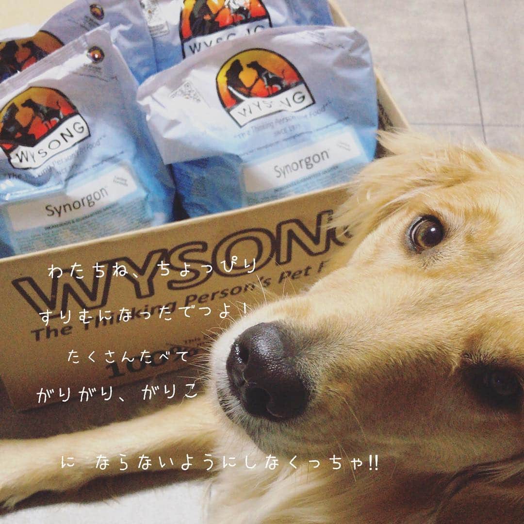 ikumiのインスタグラム