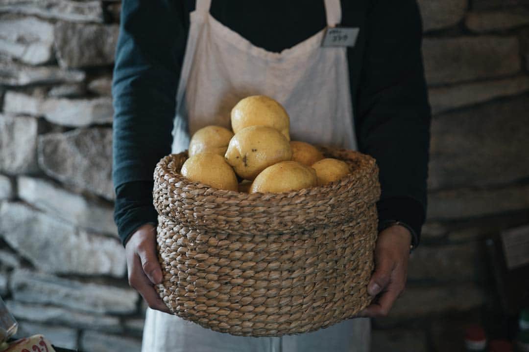 ヒラハルのグルメインスタ