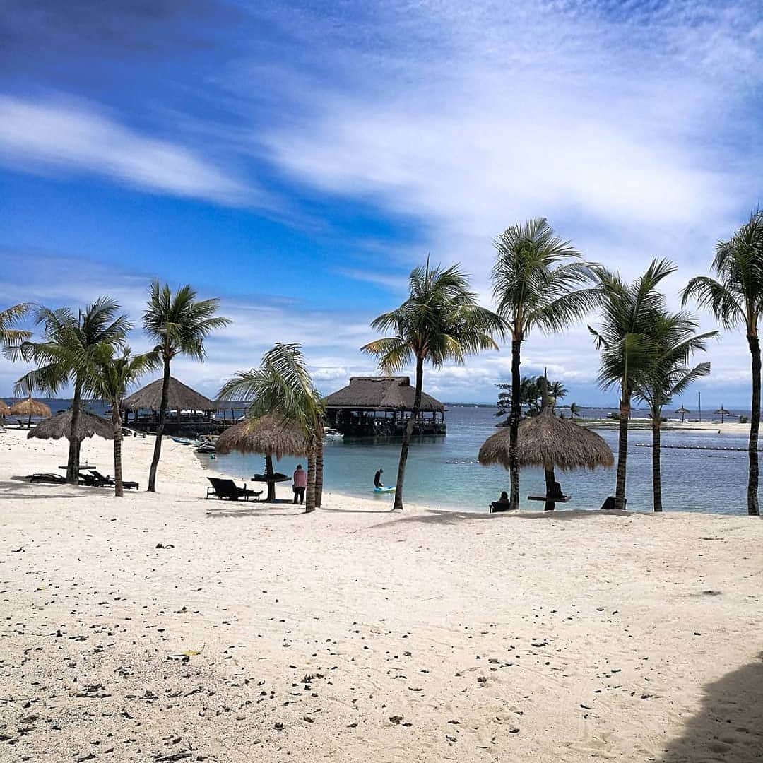 Miyu Toyonagaのインスタグラム：「Calling by this 🌴🌴 #nofilter #latepost  沢山のビタミンチャージ🙌 フィルターなしでもこの美しさ❤️」