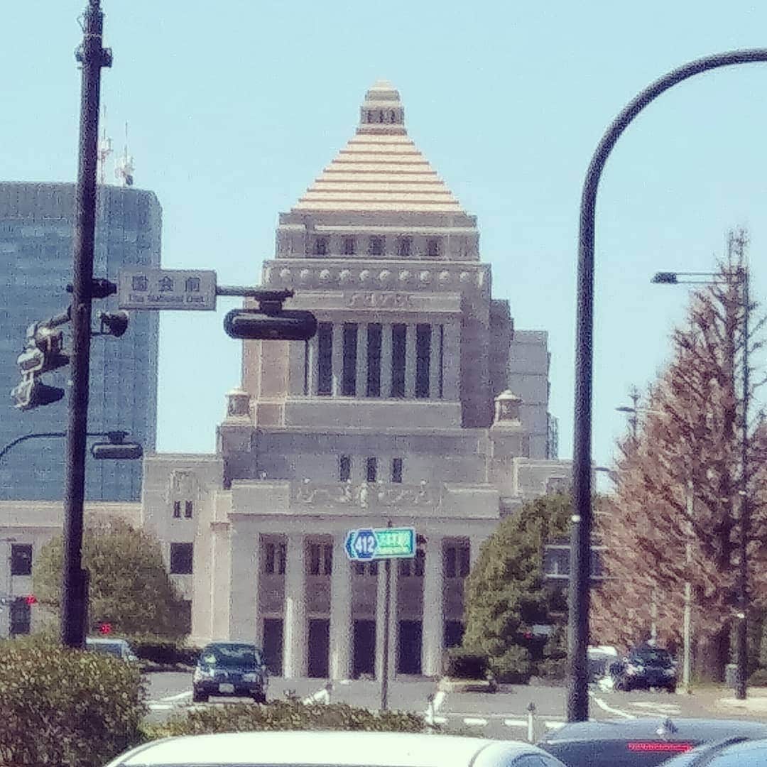 のインスタグラム：「ザ・東京な風景だと思う。 #国会議事堂」