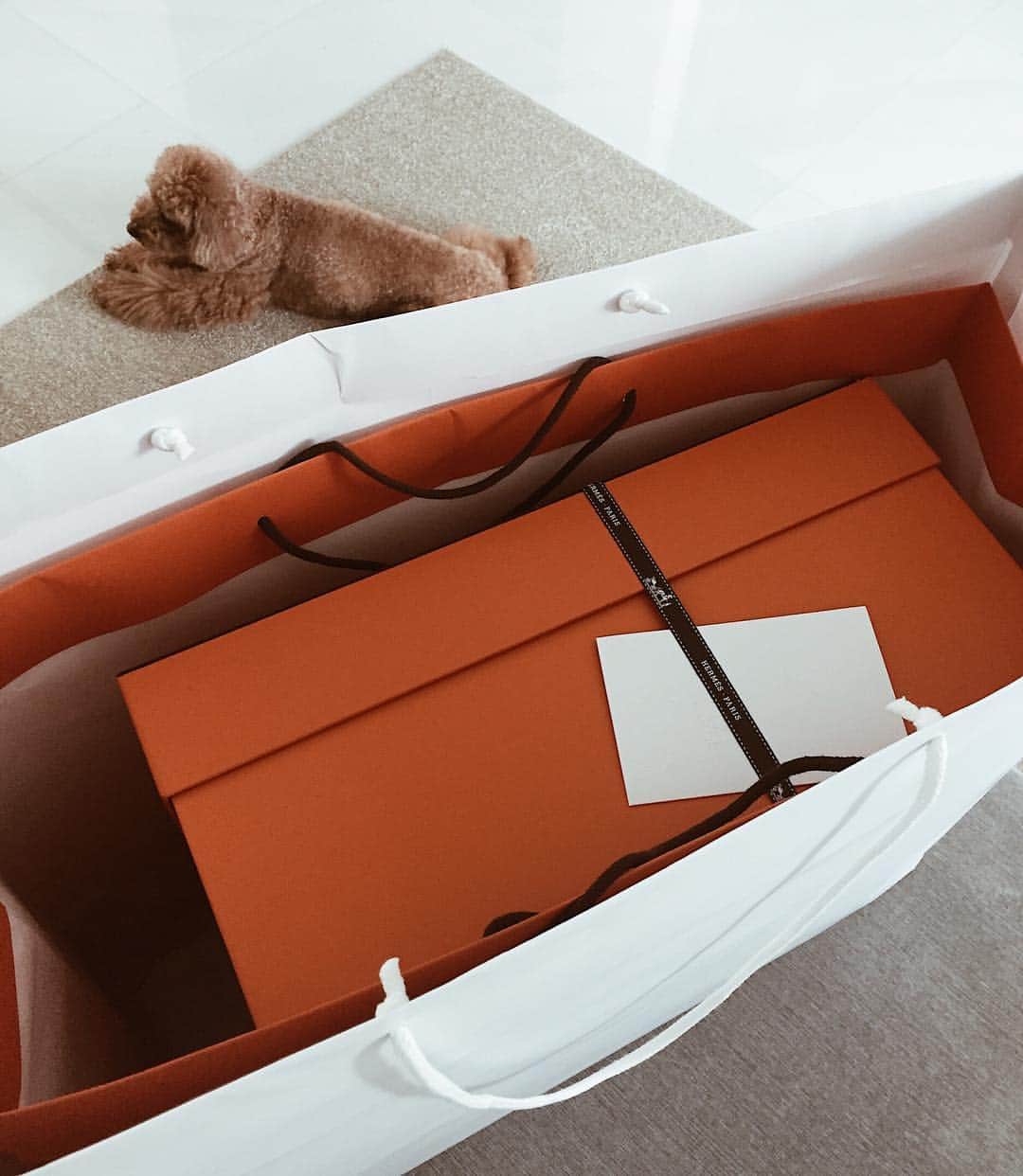 Shokoのインスタグラム：「Made him promise no more bags and expensive gifts... but I guess having a daughter changes them? I don’t think I can use this as a mom bag...」