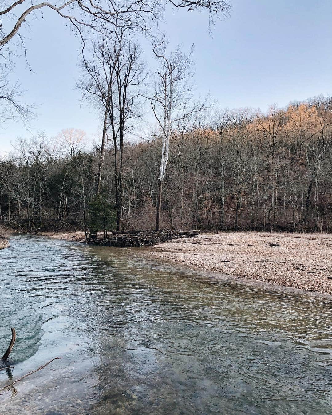 Catharine Mi-Sookさんのインスタグラム写真 - (Catharine Mi-SookInstagram)「We went exploring through a new stretch in the wild wild woods today. And today we all got in the water and though it wasn’t a river, the current was really strong. I got swept off my feet a bit, grabbed onto a big branch and pulled myself up. I love experiences and memories like this. We laughed and made our way back as the sun was setting and then headed to the grocery store with sopping wet jeans to get stuff for dinner. I managed to get a video of the scenery and sounds, which I’ve included here - swipe if you want to see our magic place in our infamous wild wild woods. . . . #inthewoods #adventurer #journaling #everydaycarry #bondtravelgear #veteranownedbusiness #dailyjournal #franklinchristoph #fountainpens #midoritravelersnotebook #tnlove #midoripassport #nomadostore #creativejournal #creativejournaling #stationerylover #planneraddicts #penmanship #loveforanalogue #seekinspirecreate #whatsinmybag #organizerbag #thedailywriting」3月14日 11時28分 - catharinemisook