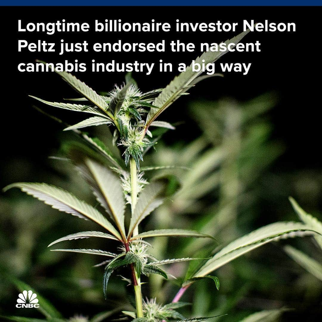 CNBCさんのインスタグラム写真 - (CNBCInstagram)「Activist investor and Trian Partners founder Nelson Peltz is known for making waves. Over the decades, Peltz has commanded respect across Wall Street for his investing prowess and ability to reshape companies. Now, he’s getting into cannabis.⁣⠀ ⁣⠀ Peltz is joining Aurora Cannabis as a strategic advisor. The addition of Peltz to the Aurora team represents one of the largest endorsements of the nascent cannabis industry. Peltz believes Canadian licensed producers, like Aurora, “are well positioned to lead in the development of the international cannabis industry as regulations evolve.”⁣⠀ ⁣⠀⁣⠀ Peltz will also prove a valuable addition to Aurora for his deep knowledge of the consumer goods industry, where he’s tended to focus his investments. “We see a number of potential of growth areas, certainly consumer packaged goods,” Michael Singer, Aurora’s executive chairman, said Wednesday on CNBC.⁣⠀ ⁣⠀ You can read more, at the link in bio.⁣⠀⁣⠀ *⁣⠀ *⁣⠀ *⁣⠀ *⁣⠀ *⁣⠀ *⁣⠀ *⁣⠀ *⁣⠀ #AuroraCannabis #Investor #ActivistInvestor #InvestorNews #NelsonPeltz #Advisor #Cannabis #Marijuana #LegalMarijuana #WallStreet #TraderTalk #Finance #Investing #BusinessNews #business #CNBC」3月14日 11時29分 - cnbc