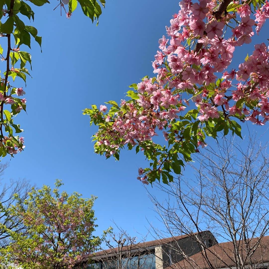 B JIRUSHI YOSHIDAさんのインスタグラム写真 - (B JIRUSHI YOSHIDAInstagram)「おはようございます。 只今の代官山地区の天候は晴れ。 本日の最高気温は14℃の予報です。昨日よりは少し肌寒いですが日中は過ごしやすい一日になりそうです。 ・ B印YOSHIDA代官山の周りも春の訪れを感じれるようになってきました。代官山へ訪れた際は是非周りの自然も気にしながら散策してみてください。 ・ では、本日も皆様のご来店をお待ちしております。 #bjirushiyoshida #B印YOSHIDA #代官山 #daikanyama」3月14日 11時30分 - bjirushiyoshida