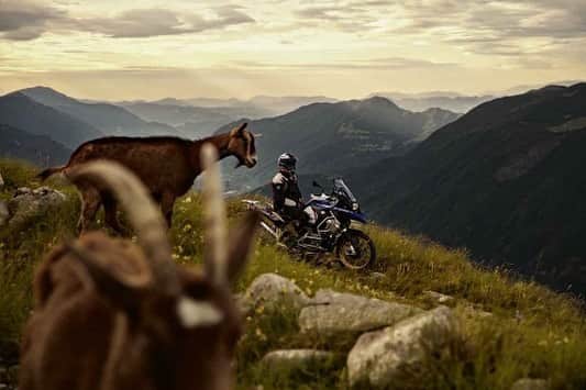 BMW Motorrad Japanのインスタグラム