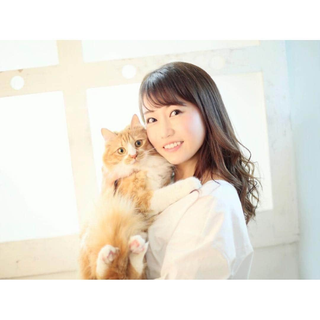 津田麻莉奈さんのインスタグラム写真 - (津田麻莉奈Instagram)「虎太郎くんと🐈💓 ⁑ @t2studio さまにて #転載禁止でお願いします🙏 #虎太郎 #こたろう #2歳  #ミックス猫 #mixcat  #ねこ #ねこすたぐらむ  #スコティッシュミックス #cat #catstagram #catlover #猫 #ねこ部 #みんねこ #猫との暮らし #猫好き #猫好きさんと繋がりたい #茶白猫 #長毛猫 #スコティッシュ #petstagram #instacat #고양이 #まりなる #津田麻莉奈 #うちの虎太郎くん」3月14日 12時18分 - tsudamarinal