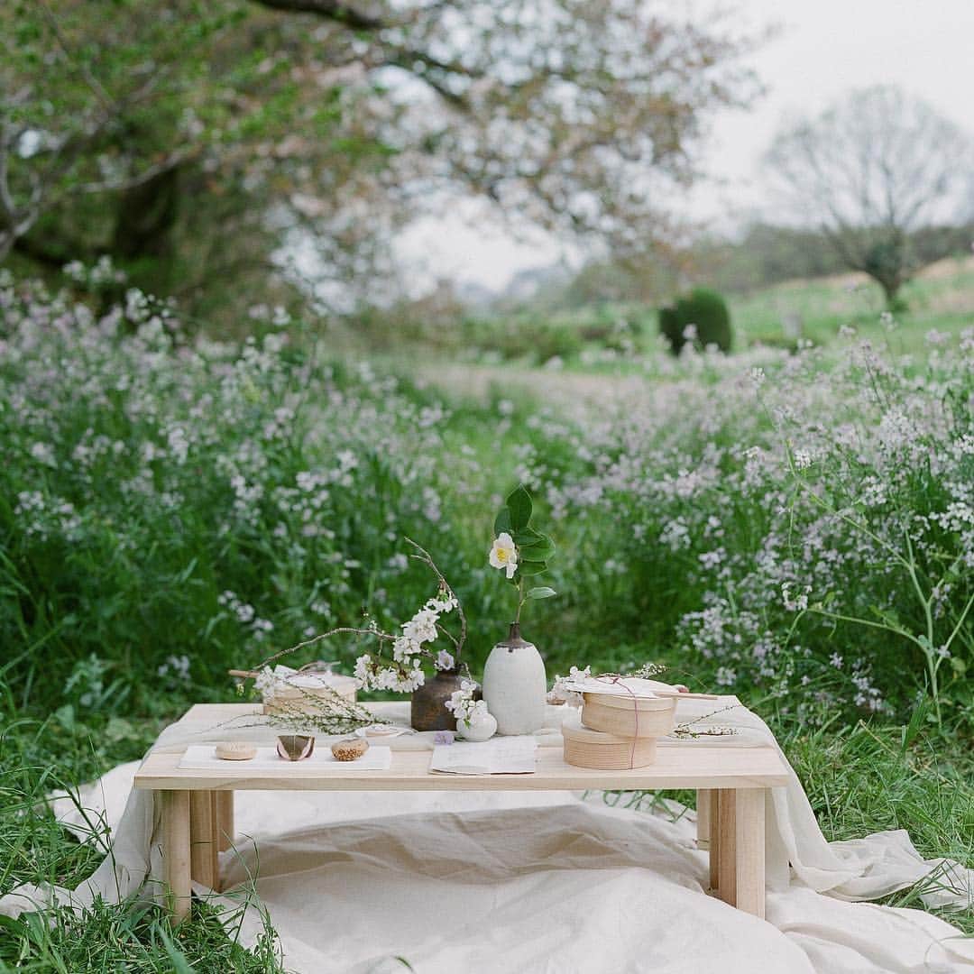 Veronica Halimさんのインスタグラム写真 - (Veronica HalimInstagram)「Last Spring, We did a picnic pre wedding styled shoot during the cherry blossom season in Japan. It was the prettiest set up with all the spring colour painted in this tablescape. We handpicked all the delicious seasonal bento, wagashi and sake, custom made paper items inspired by the 100 poems, Hyakunin Isshu, and topped with the beautiful flowers. Can’t wait for another picnic this year! — 📷 @gregfinck — #truffypi #vhcalligraphy #autumnandmeadow #styledshoot #fineartwedding #calligraphy #spring #autumnandmeadow #japanspring #styling #tokyostyling #wabisabi #tabledecor #invitationdesign #weddinginvitation #weddingstationary #stylemepretty #bridestory #oncewed #ウェディング前撮り #花嫁 #結婚 #結婚式 #春婚 #結婚式準備」3月14日 12時17分 - truffypi