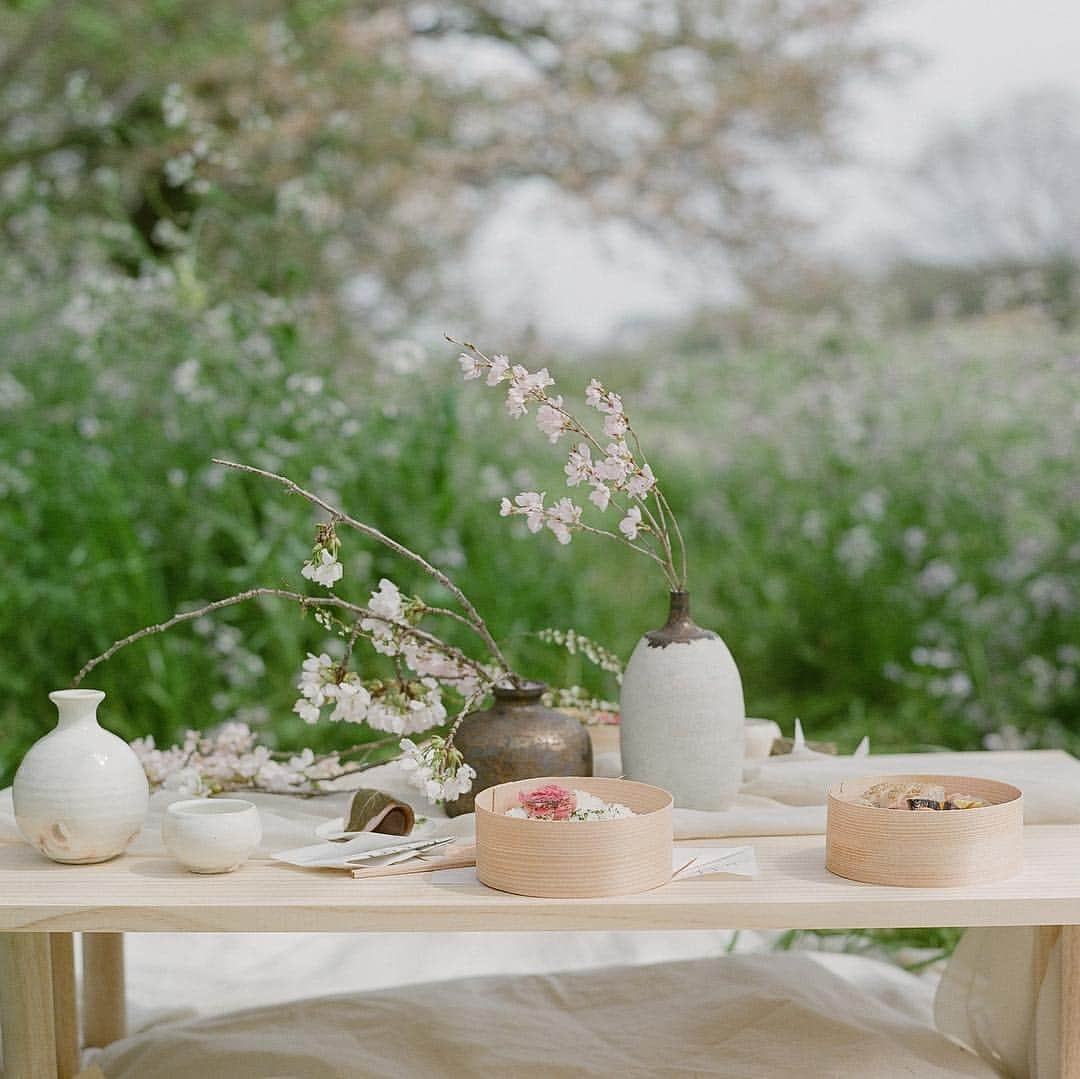 Veronica Halimさんのインスタグラム写真 - (Veronica HalimInstagram)「Last Spring, We did a picnic pre wedding styled shoot during the cherry blossom season in Japan. It was the prettiest set up with all the spring colour painted in this tablescape. We handpicked all the delicious seasonal bento, wagashi and sake, custom made paper items inspired by the 100 poems, Hyakunin Isshu, and topped with the beautiful flowers. Can’t wait for another picnic this year! — 📷 @gregfinck — #truffypi #vhcalligraphy #autumnandmeadow #styledshoot #fineartwedding #calligraphy #spring #autumnandmeadow #japanspring #styling #tokyostyling #wabisabi #tabledecor #invitationdesign #weddinginvitation #weddingstationary #stylemepretty #bridestory #oncewed #ウェディング前撮り #花嫁 #結婚 #結婚式 #春婚 #結婚式準備」3月14日 12時17分 - truffypi