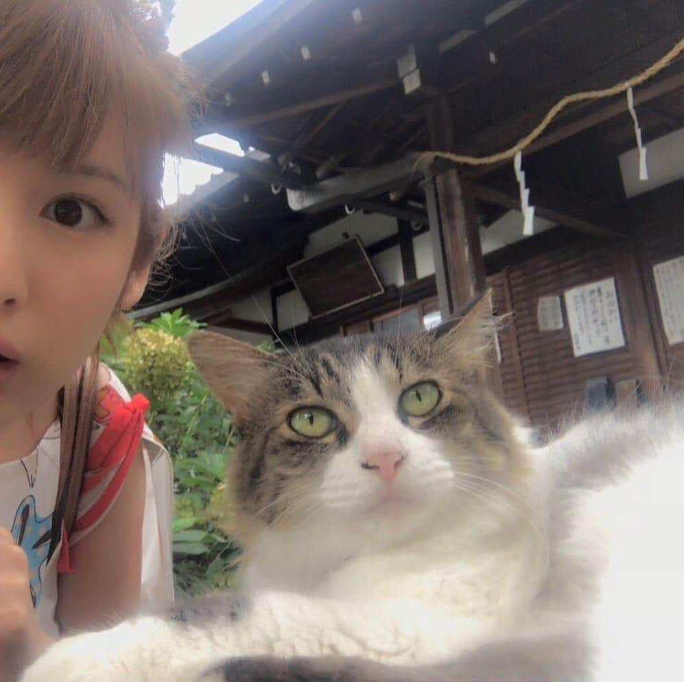 カブトムシゆかりさんのインスタグラム写真 - (カブトムシゆかりInstagram)「猫神社巡る旅に出たいので、オススメあったら教えてください🤭✨ #猫神社 #ねこ部 #おカブ」3月14日 12時28分 - kabutomushiyukari