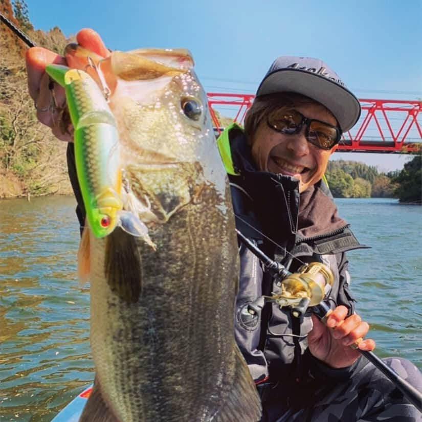 ジャッカルさんのインスタグラム写真 - (ジャッカルInstagram)「Big Bass season. JACKALL Pro @jk_kawashima caught nice one!  三寒四温を繰り返しながら、徐々に春の訪れを感じさせるこのシーズン。各地のフィールドでもビッグフィッシュの報告が上がっています。  房総半島のスーパーロコでお馴染みの川島勉プロも、亀山ダムの凄腕アングラーが集う大会で見事にビッグバスをキャッチ！  @jackall_jp @shimanofishing_jp @shimano_bass  #JACKALL #tsutomukawashima #shimano #poisonglorious #fishing #bassfishing #lure #kawashimikey #ジャッカル #川島勉 #シマノ #ポイズングロリアス #亀山ダム #釣り #フィッシング #バスフィッシング」3月14日 12時32分 - jackall_jp