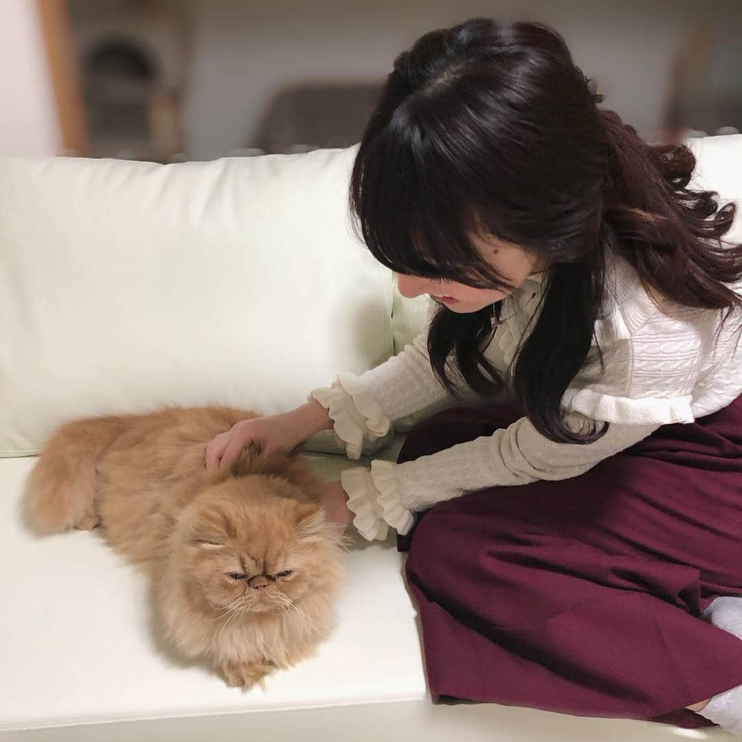 尻無浜冴美さんのインスタグラム写真 - (尻無浜冴美Instagram)「ボンちゃん(=^ェ^=)﻿ この顔たまらん💓💓﻿ せな(@senapuu )の飼ってる#ペルシャ猫 ちゃん、毛が長くってゴージャスだった😳💖﻿ ﻿ 中学時代、一緒の事務所でレッスンしたり番組出たり苦楽を共にした仲間👍﻿ 昨日は久しぶりに会えて嬉しかったな〜(〃ω〃)﻿ ﻿ ﻿ #猫﻿ #ネコ﻿ #ぺるしゃねこ﻿ #ねこ #ねこすたぐらむ  #ねこのきもち #ねこ部  #ねこ好き #ネコスタグラム  #cat #catstagram  #オスカープロモーション  #ニコラモデル #ニコモ #ラブベリー #ラブベ  #ティーン誌 ﻿」3月14日 12時41分 - saemi_shinahama