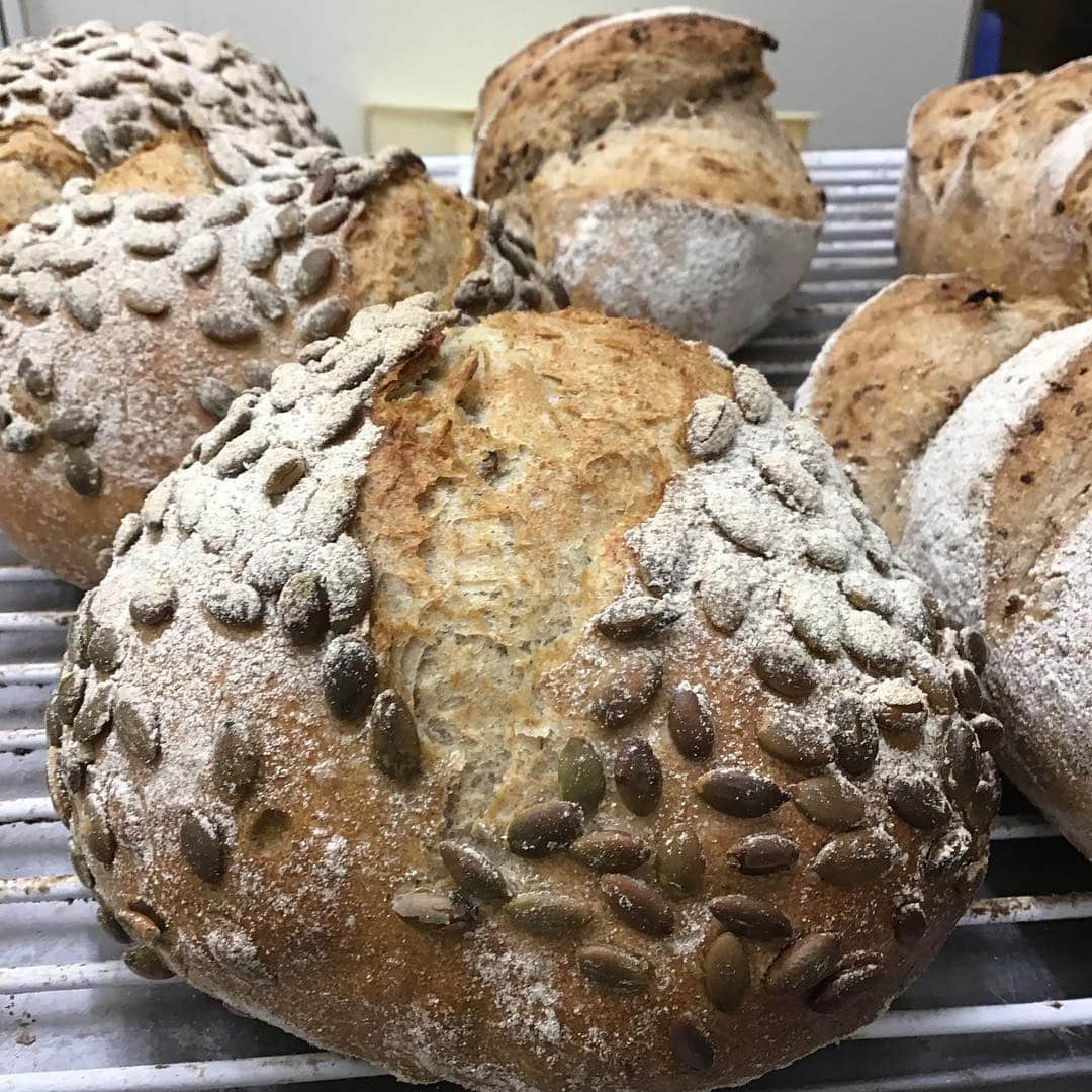 魔女菅原のグルメインスタ